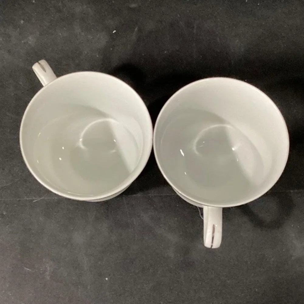 Brookwood Porcelain by Interpace Corporation‎ M2001 Santiago 2 Cups & Saucers